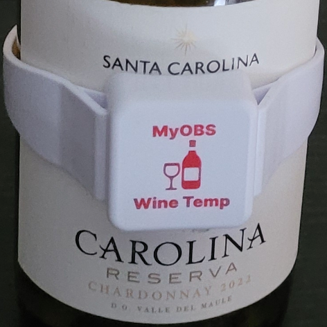 Wine Strap Temperature Sensor